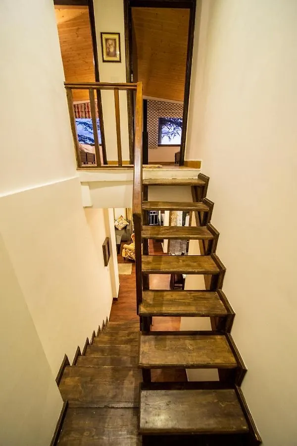Apartment Holiday In Homestay Shimla